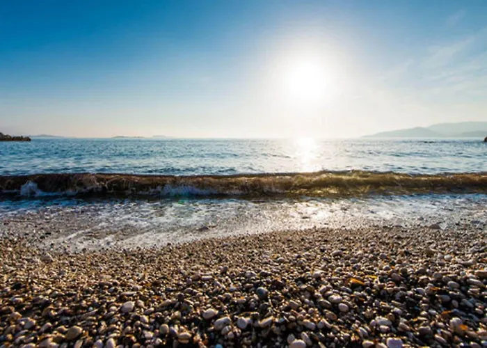 Samba 아파트 믈리니